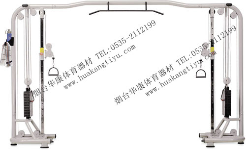 HK-A-005 大飞鸟